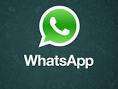     WhatsApp  $22 